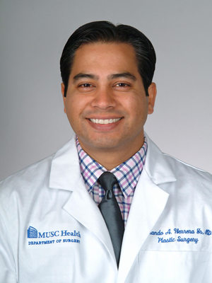 Fernando A. Herrera image