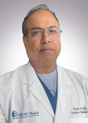 Raman Seth image
